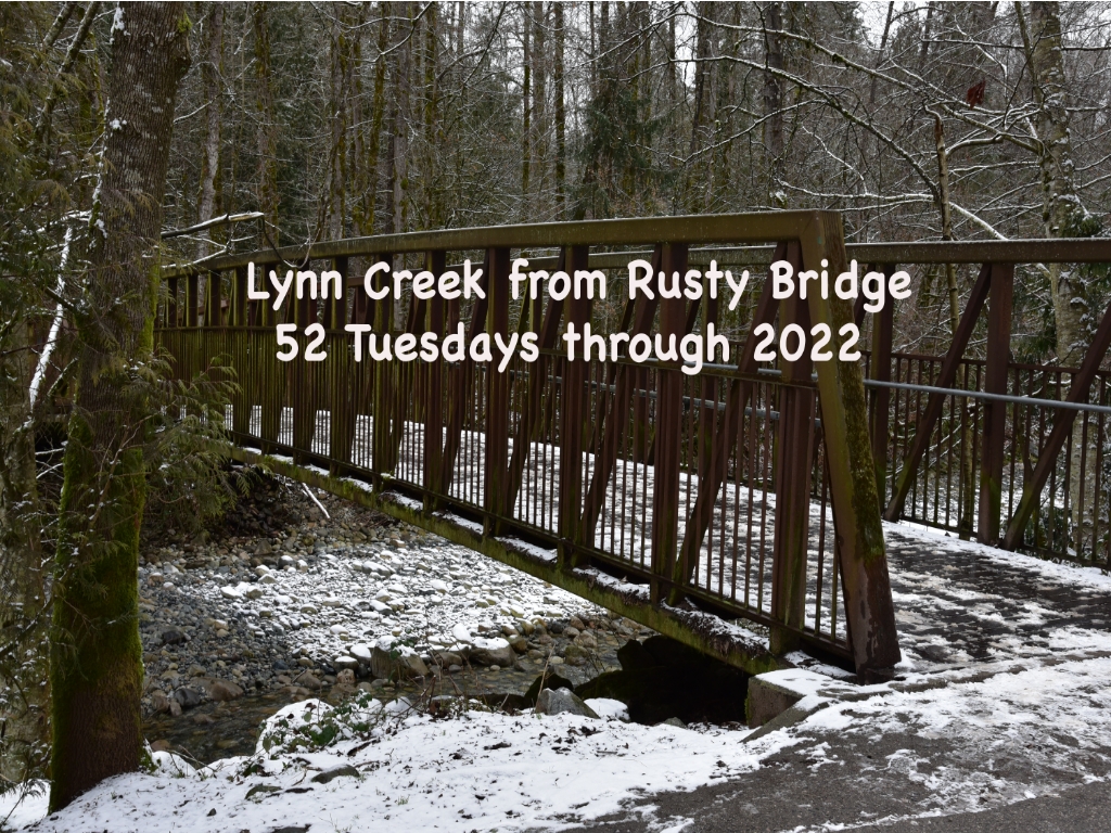 Rusty Bridge 2022